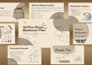 design presentations for school, university, or business